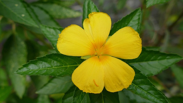 Gb1ba4f5b435ccf6f7727dd0e3a61e0d6642e443298308edcfb227b1eb9926b6e106ca5878799ebb57783840761d12834825b20f200242a152e97d35909d7dbd2 640